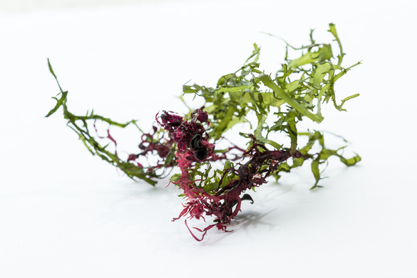Yosun Salata karışımı  - Fotoğraf, Görsel