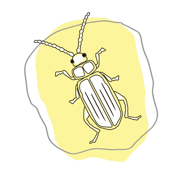 Käfer in der Technik des Freihandzeichnens auf einem blauen, formlosen Fleck - Vektor, Bild