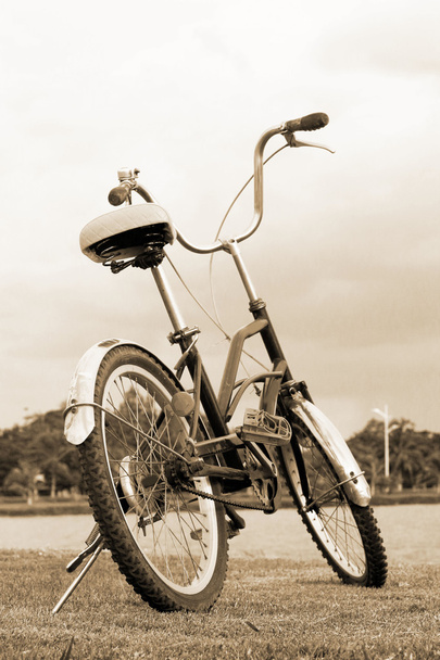 Bicycle on green grass - Photo, Image