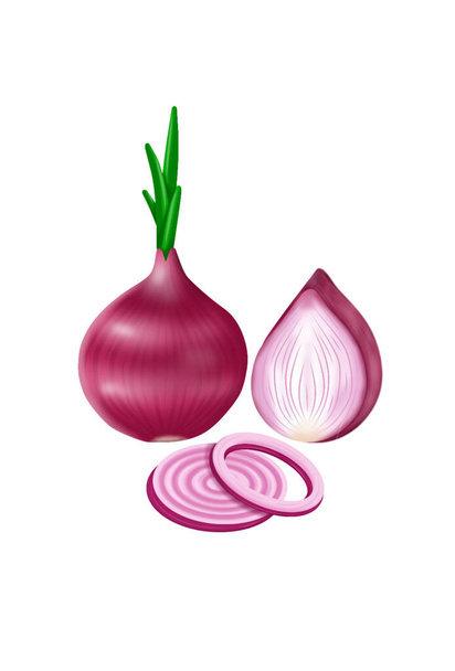 Vector fresh whole and half red onion bulbs on white background. Realistic vector, 3d illustration. - Vektör, Görsel