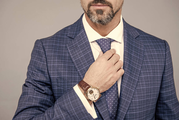 Brodaty mężczyzna przycięty widok naprawić krawat nosząc garnitur biznesowy i luksusowy zegarek, akcesoria. - Zdjęcie, obraz