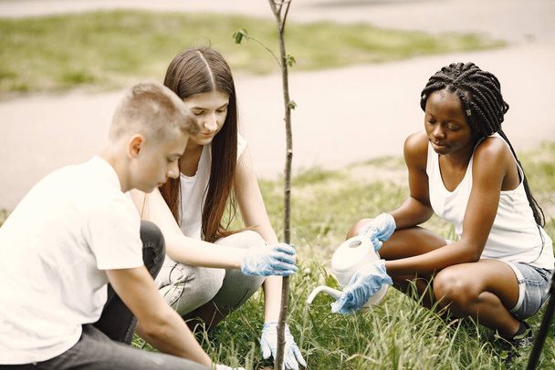 Young volunteers planting a tree together at park - Photo, Image