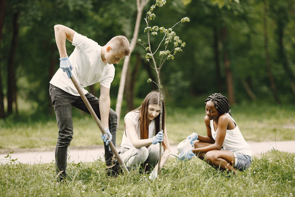 Young volunteers planting a tree together at park - Foto, Bild