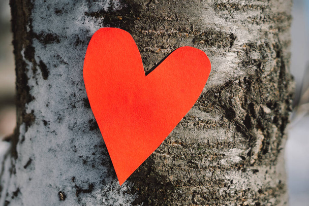 Красное сердце висит на снежном дереве на День Святого Валентина Любовное послание. I love You. - Фото, изображение