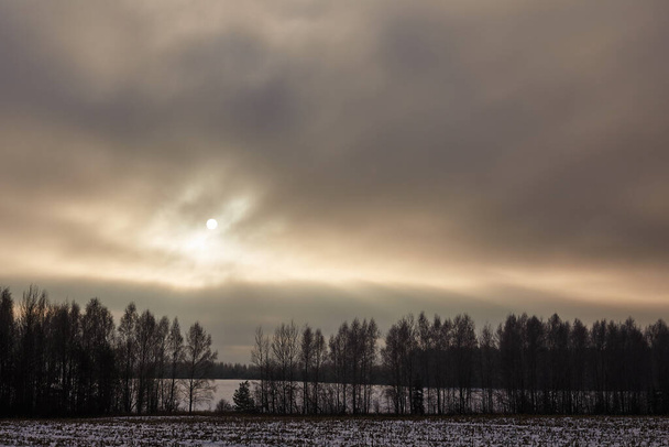 The winter sun illuminates trees and fields frozen in the cold with its soft light - Foto, afbeelding