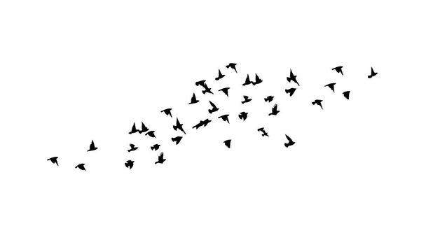 Ένα σμήνος από ιπτάμενα πουλιά. Δωρεάν πουλιά. Εικονογράφηση διανύσματος - Διάνυσμα, εικόνα