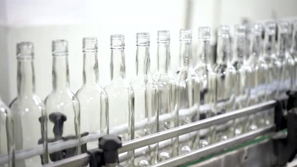 Technológiai vonal az alkohol palackozásához. Üres üvegek egy sorban a gyárban. Üvegek állnak meg a szállítószalagon a szeszfőzdében. - Felvétel, videó