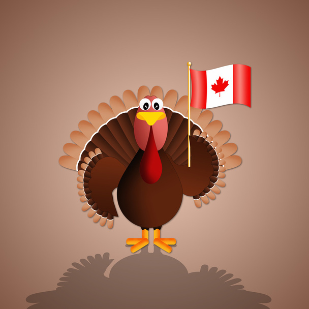 Turchia Con bandiera canadese
 - Foto, immagini