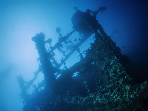 Wreck diving, Umbria wreck - Photo, Image
