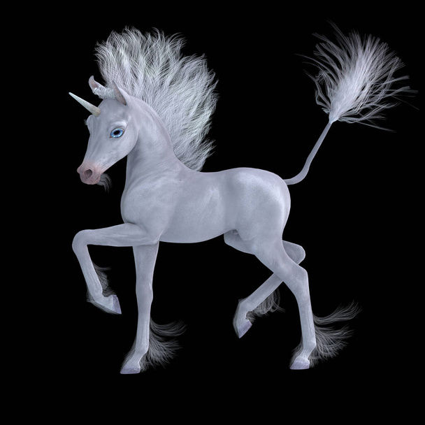 Ein kleines weißes Colt-Einhorn, berühmt als legendäres Wesen mit magischen Fähigkeiten. - Foto, Bild