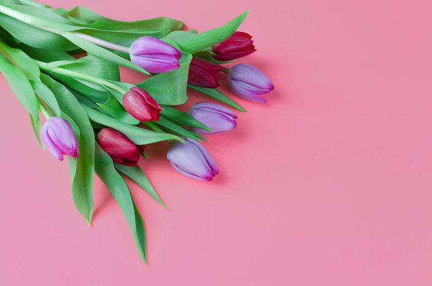 Kimppu violetti ja punainen tulppaanit vaaleanpunainen tausta - Valokuva, kuva