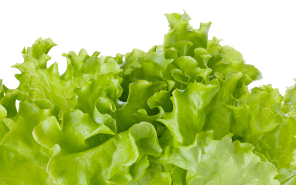 Salade de laitue verte fraîcheur
 - Photo, image