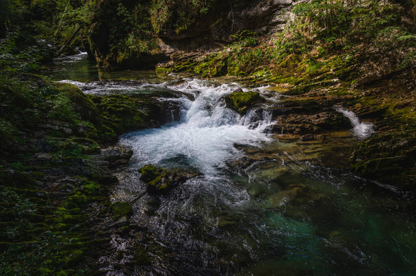 Винтгарское ущелье реки Радовлица в Словении - Фото, изображение
