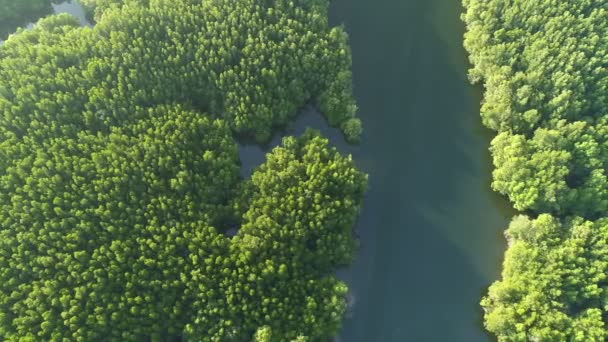 Luftaufnahme Drohne Schuss von schönen Sonnenaufgang Himmel am Morgen Sonnenaufgang Drohne fliegt über Meer und Mangrovenwald Landschaft Hochwinkelblick Dynamische Luftaufnahme Erstaunliche Naturbetrachtung - Filmmaterial, Video
