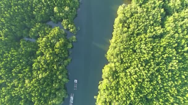 Luftaufnahme Drohne Schuss von schönen Sonnenaufgang Himmel am Morgen Sonnenaufgang Drohne fliegt über Meer und Mangrovenwald Landschaft Hochwinkelblick Dynamische Luftaufnahme Erstaunliche Naturbetrachtung - Filmmaterial, Video