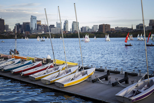 Припарковані парусні човни на річці Чарльз з видом на хмарочоси в Бостоні. - Фото, зображення
