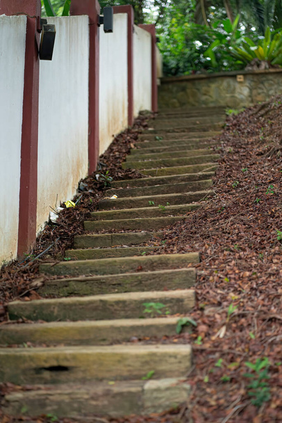 Вид на открытую лестницу возле стены, окруженной опавшими листьями. Размытый передний план и фон - Фото, изображение