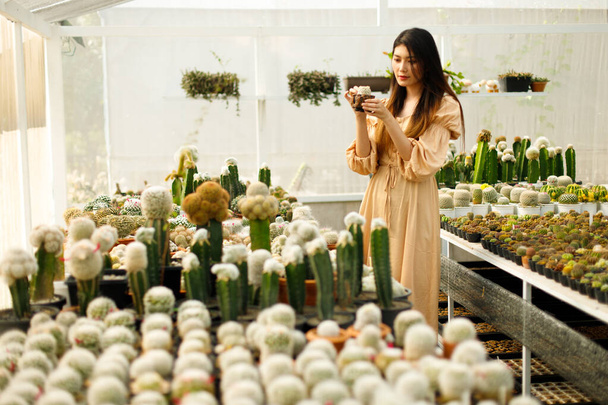 Cactus plant in woman hands looks relax style concept. 20s Asian female black straight hair feel happy smile in Greenhouse farm variety Cactus seed nursery, horizontal copy space - Zdjęcie, obraz