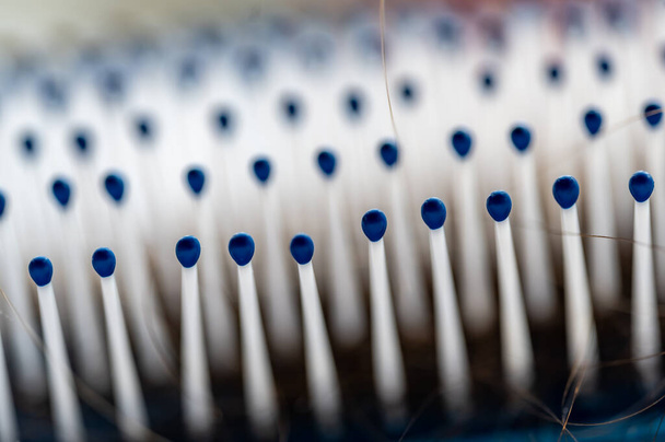 Selective focus on bristles of a hairbrush with tangled hair - Foto, afbeelding
