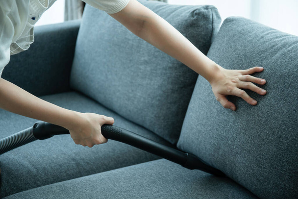 Asian housewife using a wireless vacuum machine to clean a sofa in living room close up. Asian housekeeper vacuuming in living room. Chores and daily housework activities concept. - Valokuva, kuva