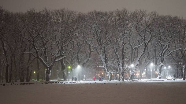 calles de la ciudad y parques en noches de invierno. Escarcha y niebla cubrían todos los árboles con escarcha. - Foto, Imagen