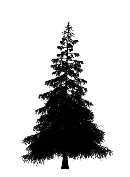 Černá silueta borovice, vánoční strom izolovaný na bílém pozadí. Návrh nápisu, 3D ilustrace - Fotografie, Obrázek