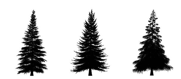 Zwart silhouet van dennen, kerstbomen geïsoleerd op witte achtergrond. Banner design, 3D illustratie - Foto, afbeelding