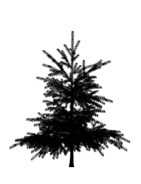Μαύρη σιλουέτα πεύκου, χριστουγεννιάτικο δέντρο απομονωμένο σε λευκό φόντο. Σχεδιασμός banner, 3D εικονογράφηση - Φωτογραφία, εικόνα