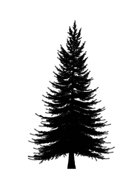 Black silhouette of pine, christmas tree isolated on white background. Banner design, 3D illustration - Photo, Image