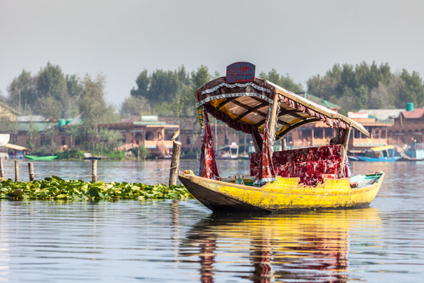 Shikara łodzi w dal lake, Kaszmir, Indie  - Zdjęcie, obraz