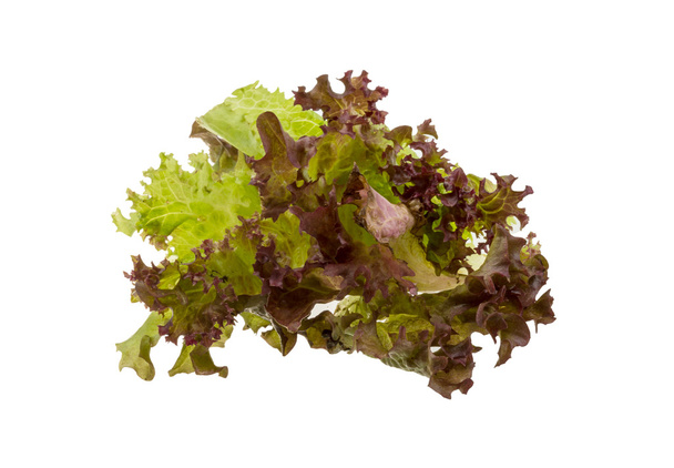 Folhas de salada
 - Foto, Imagem