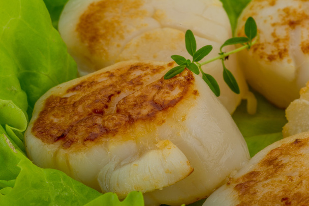 Grilled scallops - Photo, Image