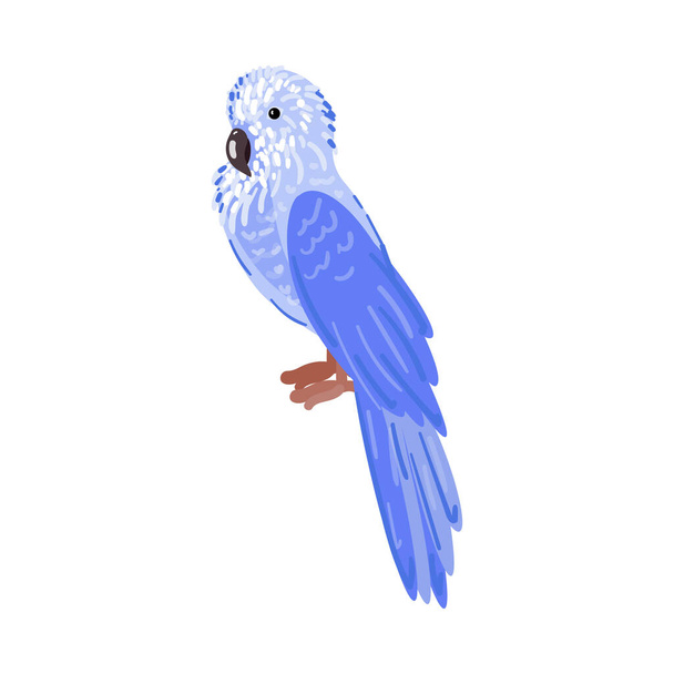Tropical blue parrot. Cartoon style. Isolated over white background. Vector illustration - Vektör, Görsel