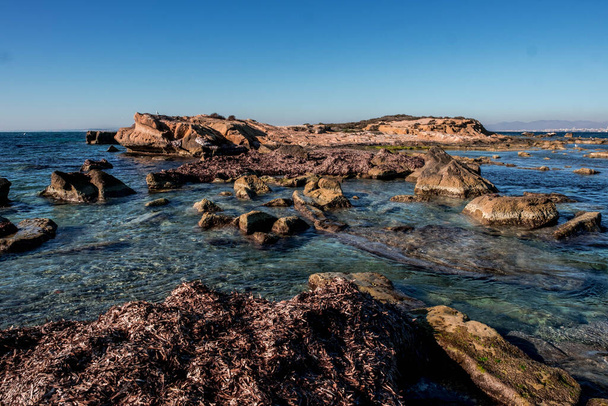 Скалистое побережье древнего острова Табарка, в испанском Средиземноморье, перед Санта-Полой, Аликанте - Фото, изображение