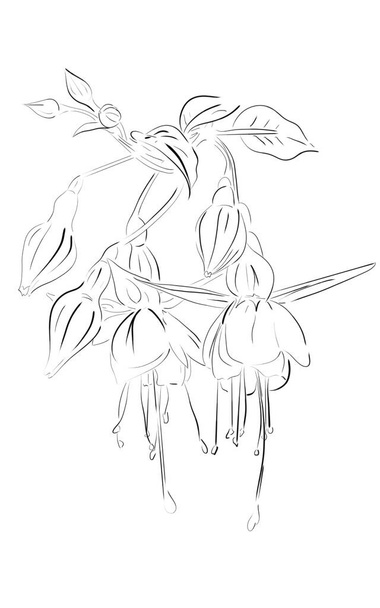  fuchsia bloem schets patroon  - Vector, afbeelding