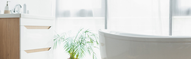 white bathtub near sink with toiletries and green plant in bathroom, banner - Фото, изображение