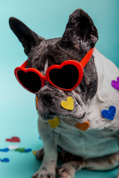 αστείο γαλλικό μπουλντόγκ με κόκκινα γυαλιά καρδιά - Φωτογραφία, εικόνα