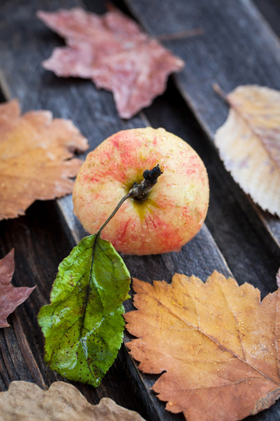 Manzana sobre mesa de madera
 - Foto, Imagen