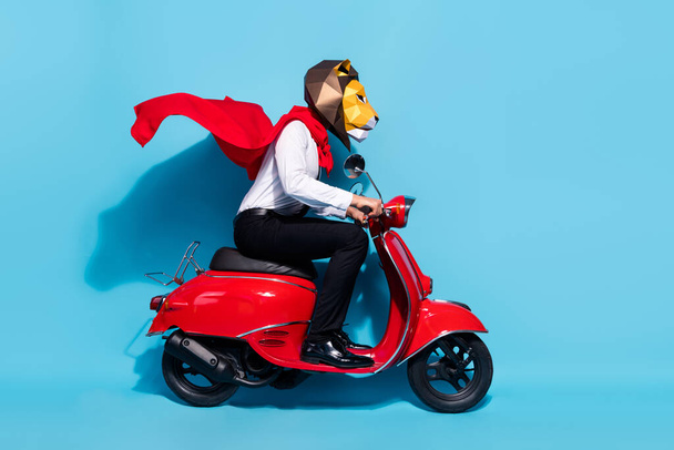 Full length profile side photo of freak lion mask guy motorcycle driver ride theme occasion isolated over blue color background - Fotografie, Obrázek
