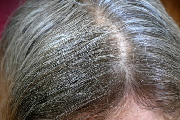 racines de cheveux gris repousses sur la tête. Coloration des cheveux. Femme première apparition de racines de cheveux gris, vue de dessus, gros plan - Photo, image