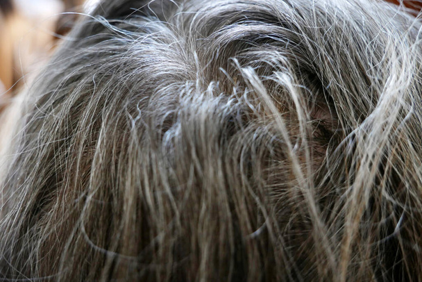 uusiutuneet harmaat karvajuuret päässä. Hiusten värjäys. Nainen ensiesiintyminen harmaat hiukset juuret, ylhäältä, lähikuva - Valokuva, kuva