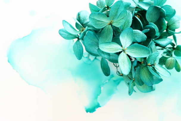Creative image of emerald and green Hydrangea flowers on artistic ink background. Top view with copy space - 写真・画像