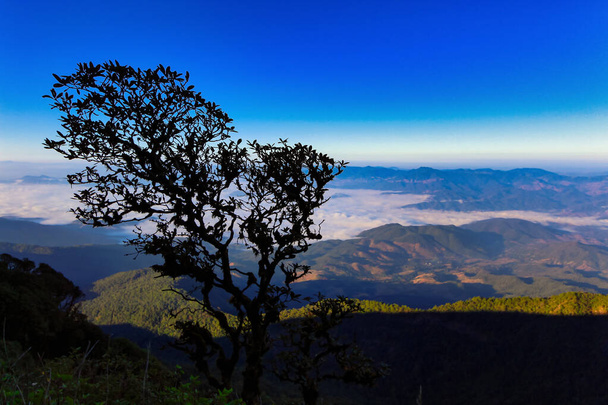 "Das Dach von Thailands malerischem Bergblick mit Baumsilhouette. - Foto, Bild