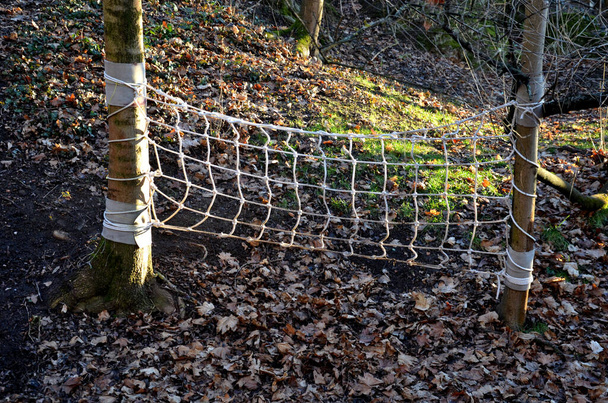 Das Seilnetz wird durch weiche Gegenstände, die die Rinde schützen, am Baum befestigt. Kinder können Matrosen spielen und Stabilität wie Spinnen testen. Sie krabbeln und klettern zwischen den Bäumen im Park. slack line - Foto, Bild