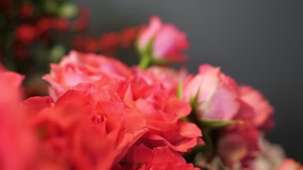 Grona świeżych czerwonych róż w wazonach w kwiaciarni - Materiał filmowy, wideo