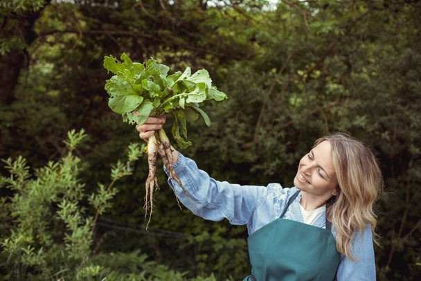 young beautiful blonde woman harvesting horseradish in the garden - Foto, Bild