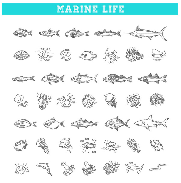 Nautical design elements isolated on background. cartoon set of marine life objects and symbols - Vektör, Görsel