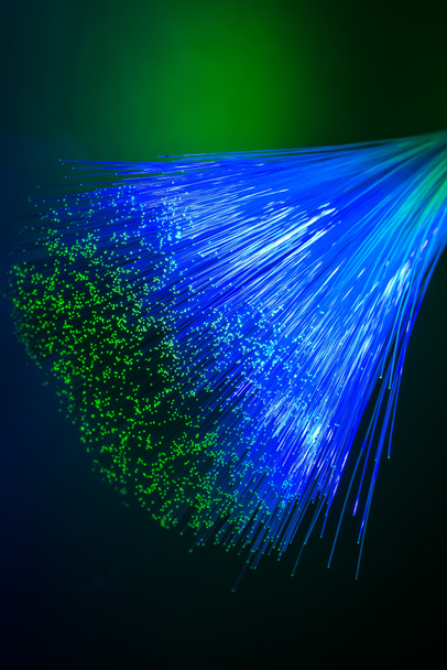 câble réseau fibre optique - Photo, image