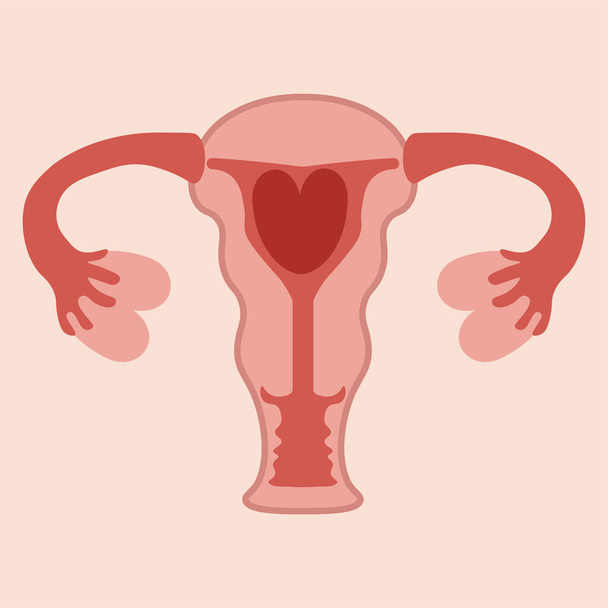 Higiene menstrual. Los productos femeninos menstruales - el útero con la sangre menstrual en forma del corazón. Ilustración del cuidado menstrual femenino. Período menstrual. Feminismo. Igualdad de género. Gráficos vectoriales - Vector, Imagen