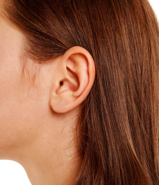 Close up human woman's ear over white background - Фото, изображение
